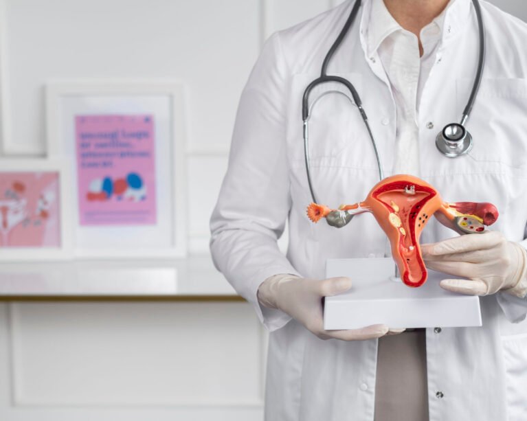 front-view-doctor-holding-anatomic-model